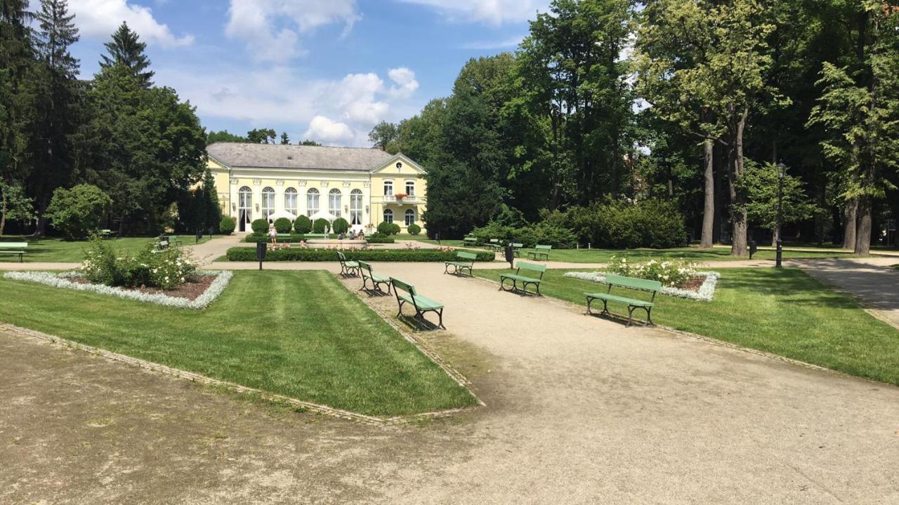 Bibi Apartament Appartamento Jelenia Góra Esterno foto
