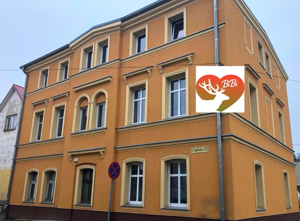 Bibi Apartament Appartamento Jelenia Góra Esterno foto